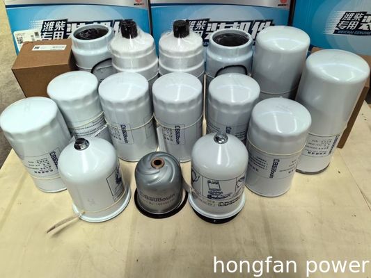 fuel filter element 60307173 60282117 60310823 for Weichai brand engine