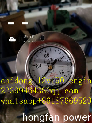 jichai JDEC JINAN diesel engine co,ltd chidong diesel engine parts H16V190ZLT2-2 GAS GENERATOR