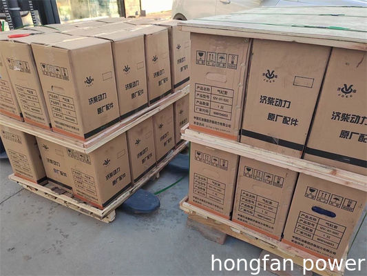 CHIDONG JINAN G12V190PZL PZ12V190B Nozzle couple subassembly 12V.16.20E in UK