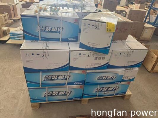 Zichai Z8180ZLD Diesel Marine engine injection pump BHT8P9